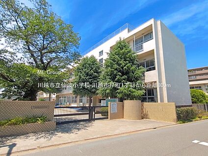 川越市立仙波小学校 800m