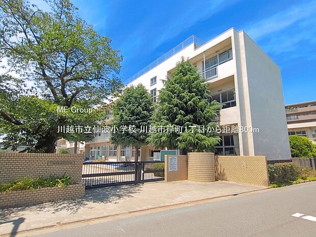 川越市立仙波小学校（約800m）