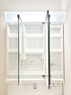 その他設備(三面鏡裏収納)