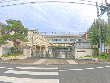 草加市立青柳小学校 530m