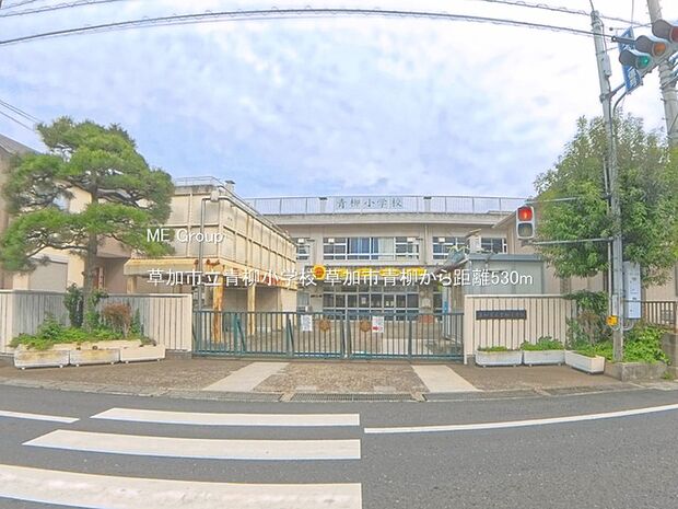 草加市立青柳小学校(約530m)