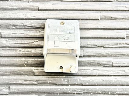 その他現地