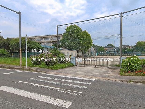 柏市立逆井中学校(約800m・徒歩10分)