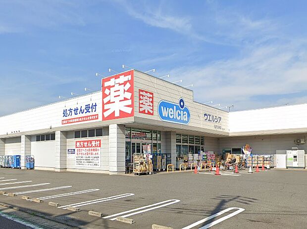 ウエルシア松戸五香店（約500m）