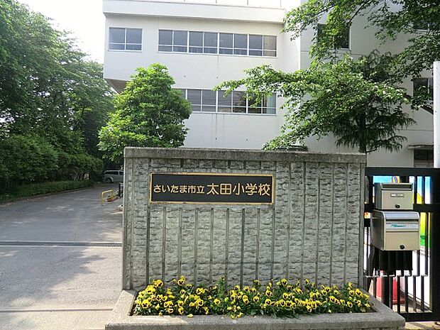さいたま市立太田小学校（約480m）