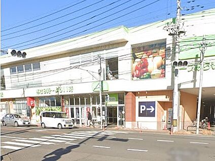 コープみらい コープ指扇店 1100m
