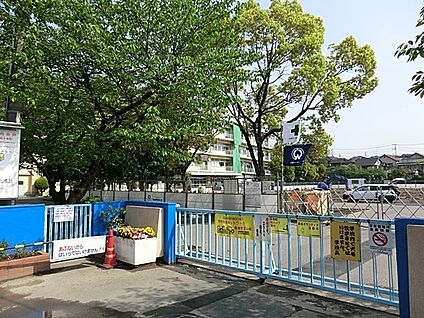 さいたま市立栄小学校 500m