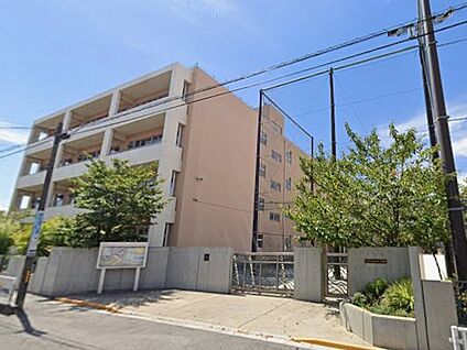 川口市立青木中央小学校 700m