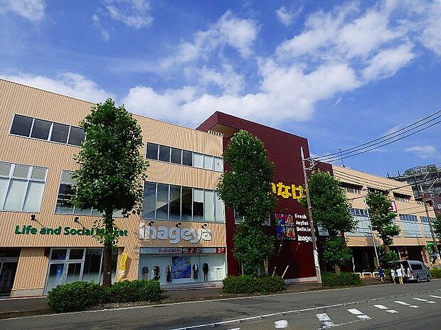 いなげや 新ゆりヨネッティー王禅寺前店(約1,400m・徒歩18分)