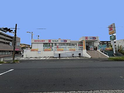 ドラッグセイムス青葉黒須田店　 1100m