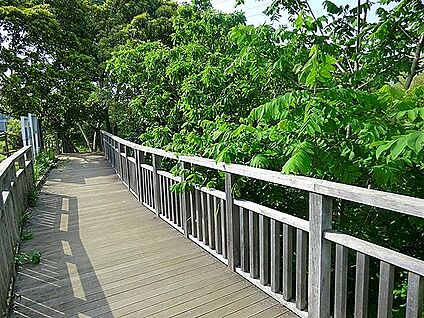 水沢の森・西公園 900m(12分)