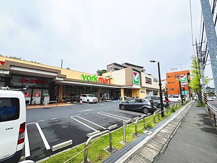 ヨークマート川崎野川店 1000m(13分)