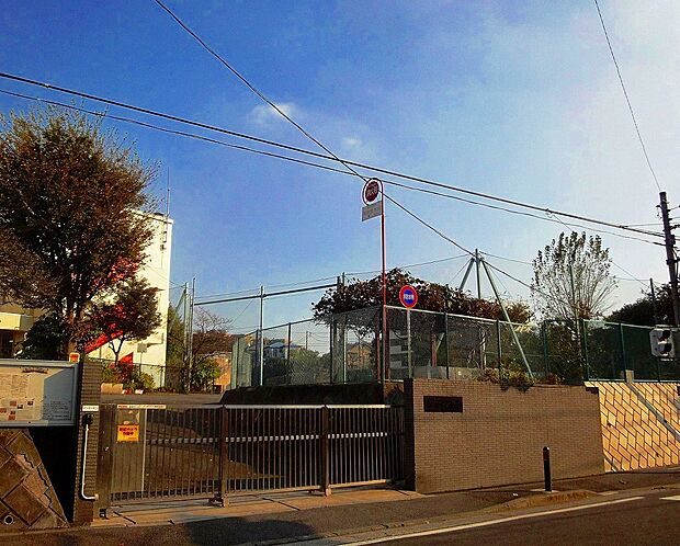 馬場小学校（約500m）