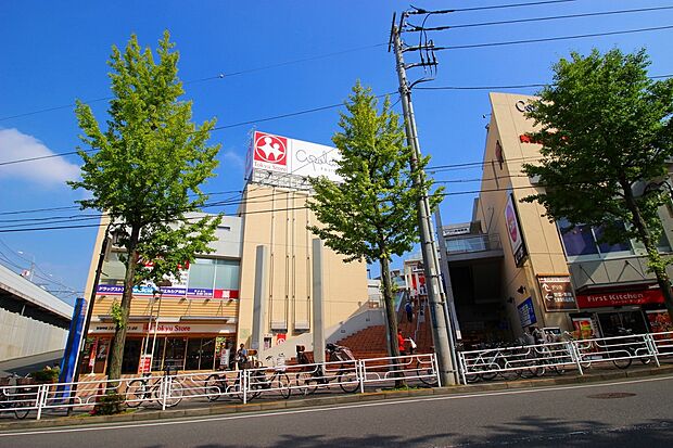 東急ストア藤が丘店（約700m・徒歩9分）