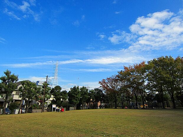 王禅寺公園(約250m)