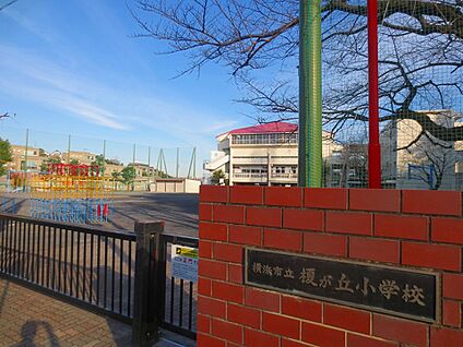 榎が丘小学校 300m
