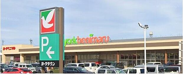 ヨークベニマル名取愛島店（約850m）