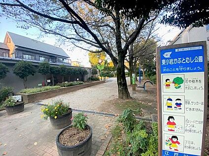 東小岩かぶとむし公園 650m(徒歩9分)