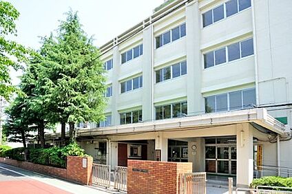 江戸川区立小岩第一中学校 850mm(徒歩11分。)
