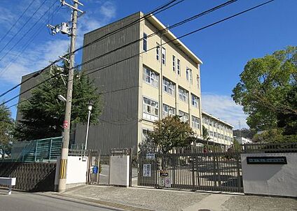 四條畷市立四條畷中学校 徒歩1538m