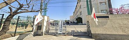 八尾市立亀井中学校 徒歩1487m