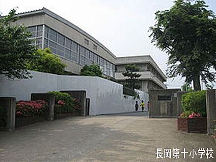 長岡京市立長岡第十小学校 徒歩354m