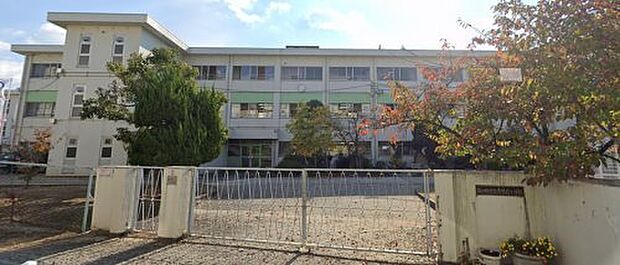 富田林市立寺池台小学校