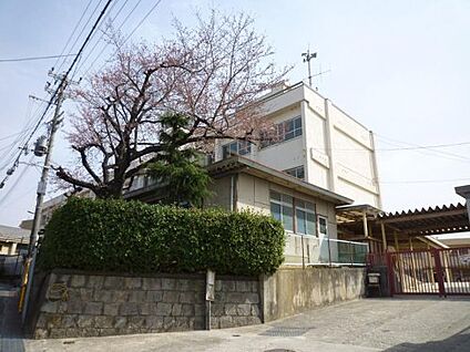 藤井寺市立道明寺小学校 徒歩800m