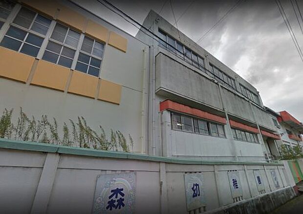 亀之森幼稚園・かめのもり乳児園