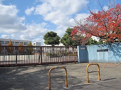 高槻市立富田小学校 徒歩240m