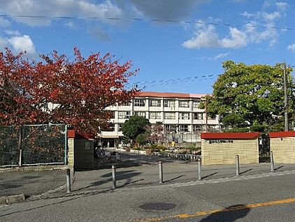 豊中市立野畑小学校 徒歩800m