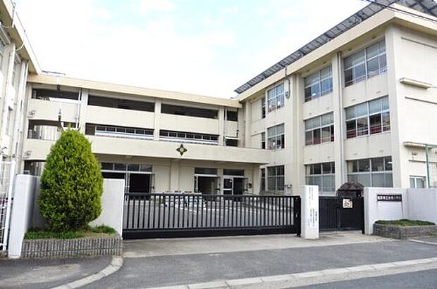 橿原市立金橋小学校