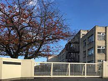 羽曳野市立河原城中学校 徒歩2300m