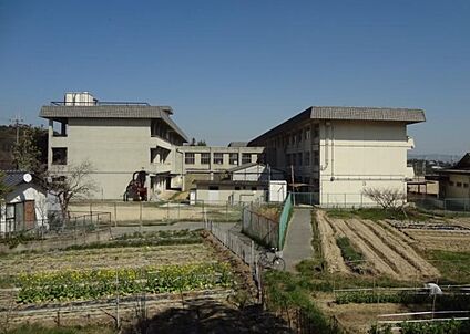 斑鳩町立斑鳩中学校 徒歩1442m