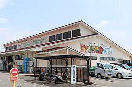 JAレーク滋賀 おうみんち 野洲店 徒歩1967m