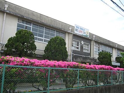 寝屋川市立第三中学校 徒歩170m