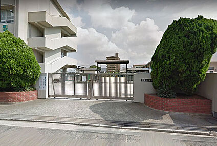 堺市立三宝小学校 徒歩750m