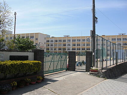 神戸市立南五葉小学校 徒歩321m