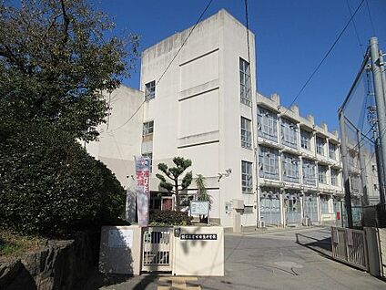 堺市立東百舌鳥中学校 徒歩1500m