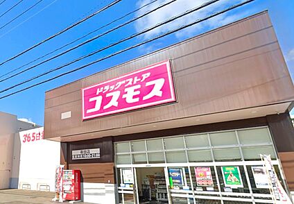 ドラッグストアコスモス有田店 800ｍ(徒歩10分)