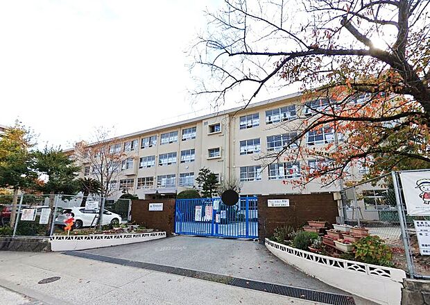 福岡市立城南小学校（約1,000m）