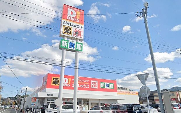 ダイレックス相生店（約785m）