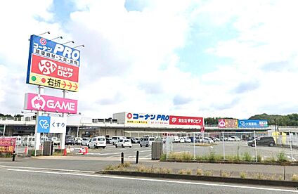 コーナンPRO福岡新宮店・ロピア福岡新宮店 800ｍ(徒歩10分)