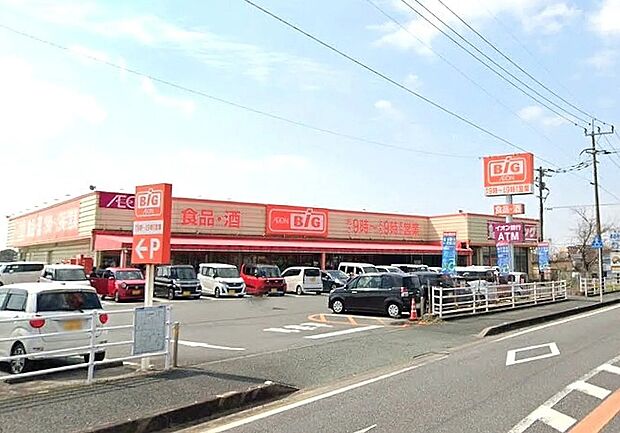 ザ・ビッグ中原店(約800m)