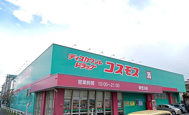 ドラッグストアコスモス御笠川店（約800m）