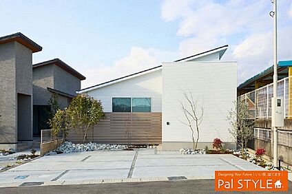19号地