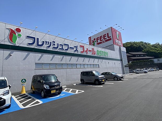 エクボスタイルアストリー(フィール)