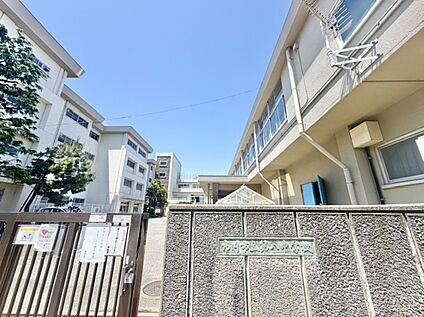 市川市立第八中学校 795ｍ