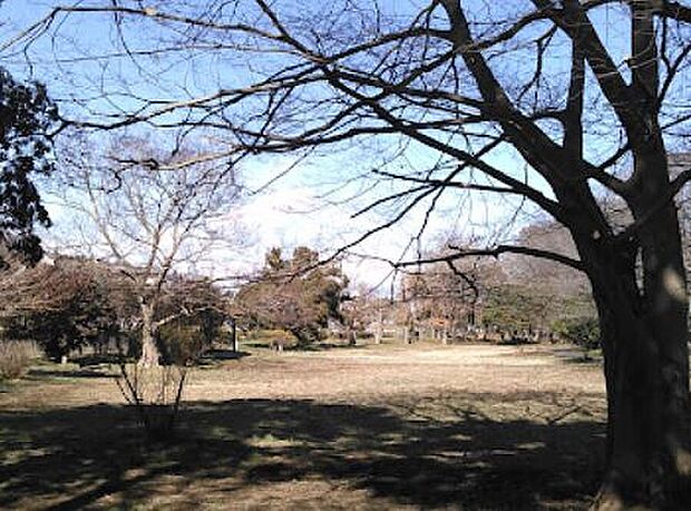 八木が谷南緑地（約138m）