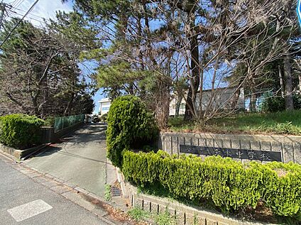 船橋市立宮本中学校 475ｍ